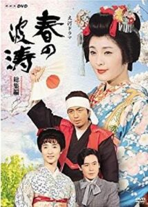 春之波涛 春の波涛 (1985)总集篇在线播放-大河剧之家